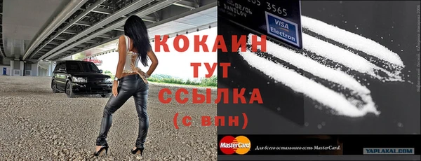 тгк Абаза
