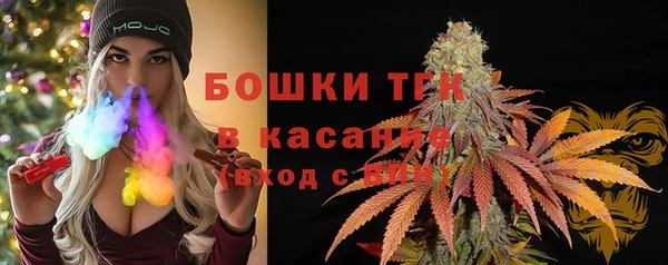 тгк Абаза