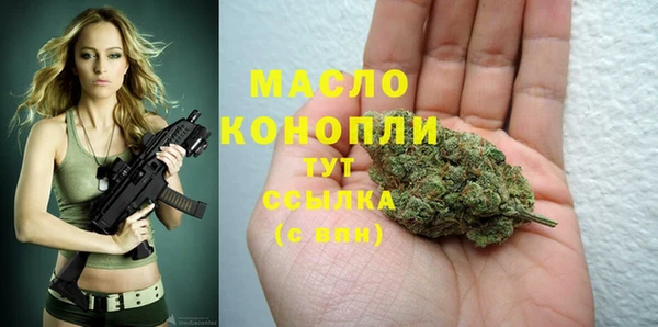 тгк Абаза