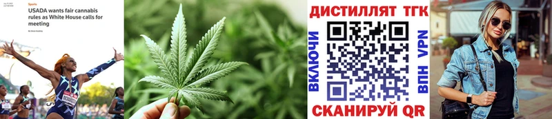 наркота  Цоци-Юрт  сайты даркнета официальный сайт  ТГК THC oil 