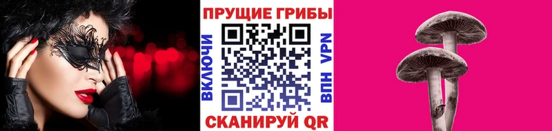 Галлюциногенные грибы мицелий  даркнет как зайти  Цоци-Юрт 